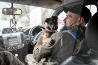 Ukrainian Ground Forces defend Zaporizhzhia