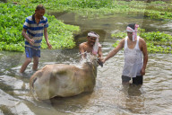 Rongali Bihu Festival In Assam 