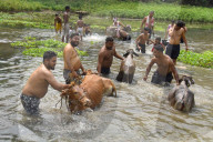 Rongali Bihu Festival In Assam 