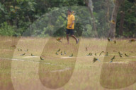 India Wildlife