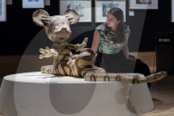 Photocall At Bonhams For British. Cool. Sale In London