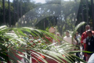 Celebration Of Palm Sunday In SP