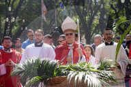 Celebration Of Palm Sunday In SP