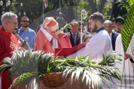 Celebration Of Palm Sunday In SP