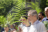 Celebration Of Palm Sunday In SP