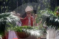 Celebration Of Palm Sunday In SP