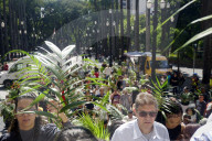 Celebration Of Palm Sunday In SP