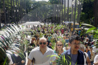 Celebration Of Palm Sunday In SP