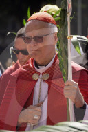 Celebration Of Palm Sunday In SP