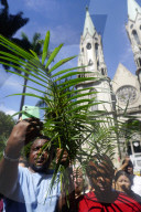 Celebration Of Palm Sunday In SP