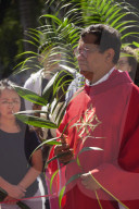 Celebration Of Palm Sunday In SP