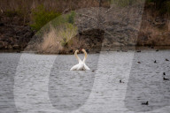 Wildlife At The Fernald Nature Preserve