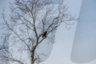 Wildlife At The Fernald Nature Preserve