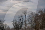 Wildlife At The Fernald Nature Preserve