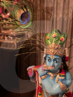 Vishu Festival In Brampton