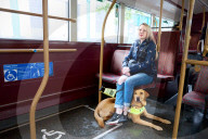 Emma hat 'nen Blindenhund: Emma Norman aus Biggleswade hat die ZSD Augenerkrankung und ist auf ihren Assistenzhund Archie angewiesen