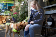 Emma hat 'nen Blindenhund: Emma Norman aus Biggleswade hat die ZSD Augenerkrankung und ist auf ihren Assistenzhund Archie angewiesen
