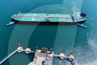 China Shandong Qingdao Port Container Trade