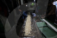 Trump's Tariff Policy Affects Imported Soybean Prices In Indonesia