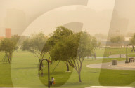 Sandstorm In Doha, Qatar