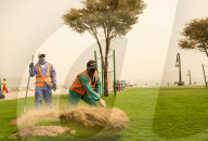 Sandstorm In Doha, Qatar