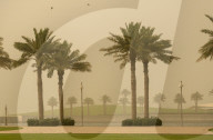 Sandstorm In Doha, Qatar