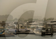 Sandstorm In Doha, Qatar