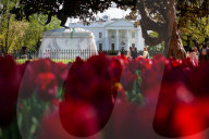 Spring at the White House