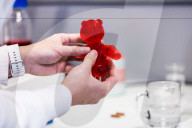 Aus Forschung und Wissenschaft: Italienische und Schweizer Wissenschaftler und Köche kreieren eine durch den EU RoboFood Finanzfond geförderte vollständig essbare KI Hochzeitstorte