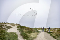 Sunset Dunes Coastal Park In San Francisco California