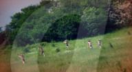 New teaser trailer for zombie movie 28 Years Later