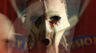 New teaser trailer for zombie movie 28 Years Later