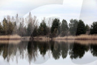 Prypiat River Station in the Chornobyl Exclusion Zone