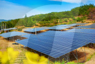 China PV Industry
