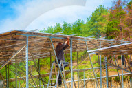 China PV Industry