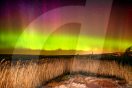 Aurora Lights over Sweden by Olivier Jarry-Lacombe