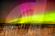 Aurora Lights over Sweden by Olivier Jarry-Lacombe
