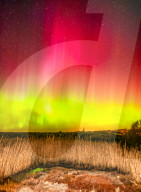 Aurora Lights over Sweden by Olivier Jarry-Lacombe