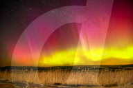 Aurora Lights over Sweden by Olivier Jarry-Lacombe