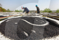 Steamed Black Sesame Seeds