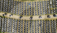 Steamed Black Sesame Seeds