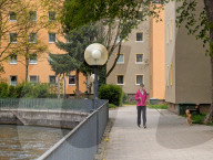 Full Bloom In Spring In A Residential Area In Munich
