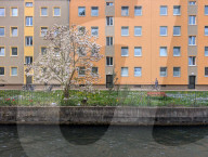 Full Bloom In Spring In A Residential Area In Munich