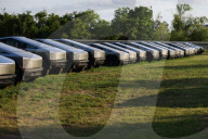 Dozens Of Cybertrucks Sit In Texas Lot 