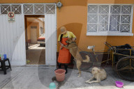Members Of The Lomitos Club Collective In Mexico City Offer Help This Holy Thursday To Don José's Pack Of Dogs