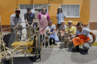 Members Of The Lomitos Club Collective In Mexico City Offer Help This Holy Thursday To Don José's Pack Of Dogs