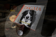 Members Of The Lomitos Club Collective In Mexico City Offer Help This Holy Thursday To Don José's Pack Of Dogs