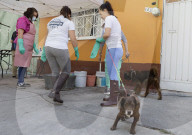 Members Of The Lomitos Club Collective In Mexico City Offer Help This Holy Thursday To Don José's Pack Of Dogs
