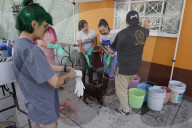 Members Of The Lomitos Club Collective In Mexico City Offer Help This Holy Thursday To Don José's Pack Of Dogs