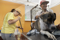 Members Of The Lomitos Club Collective In Mexico City Offer Help This Holy Thursday To Don José's Pack Of Dogs
